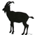 nakis cattle feeds