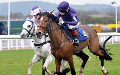 pony feed