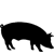 nakis pig grower